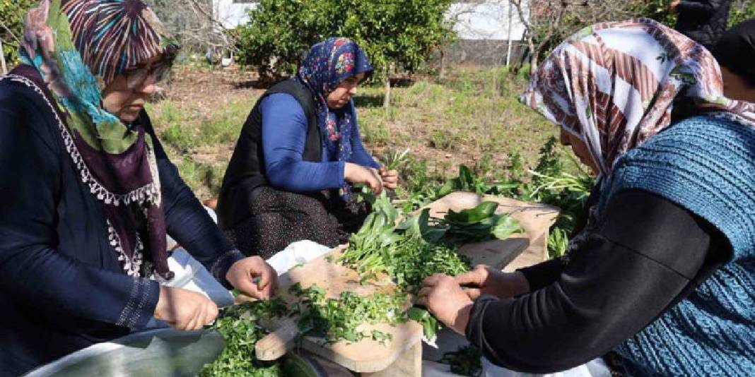 Doğanın en zehirli otlarından: Kadın elinde şifaya dönüşüyor 2